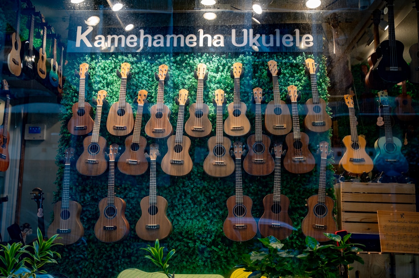 Exploring the Ukulele’s Global Influence